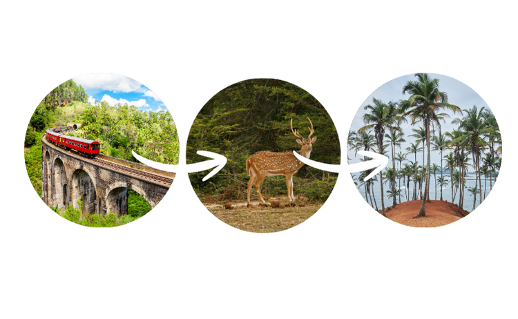 Ella to Yala to Coastal